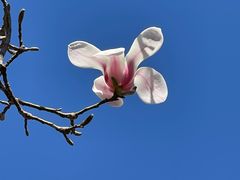 -东华门大街小区