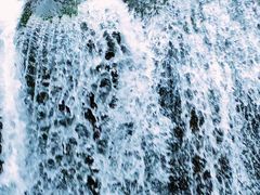 -广州白江湖森林公园