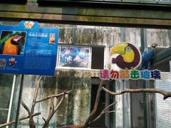 -无锡动物园·太湖欢乐园