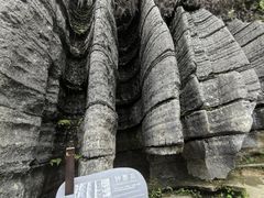 -梭布垭石林景区