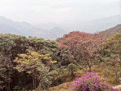 -广州市石门国家森林公园