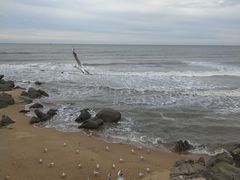 -北戴河东海水浴场