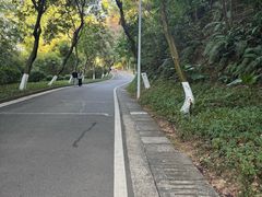 -火炉山森林公园