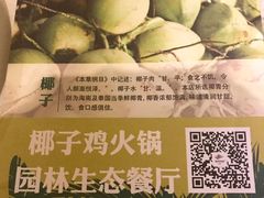 -烹然四季椰子鸡火锅(团结湖总店)