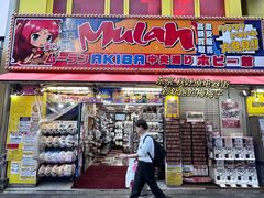 -秋叶原电器街