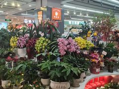 -新奥购物中心