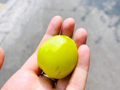 -西郊国际农产品交易中心