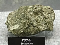蛇纹石-甘肃地质博物馆