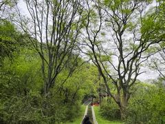 -青龙山国家森林公园