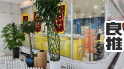 -纵享怡月月子中心(西稍门店)