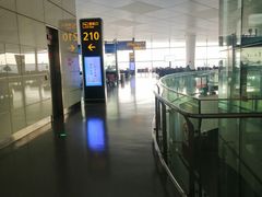-郑州新郑国际机场-T2航站楼
