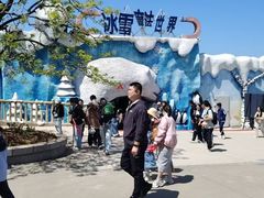 -西霞口神雕山野生动物世界