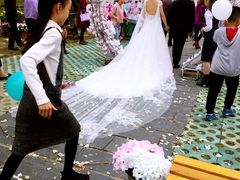 -武汉紫薇都市田园