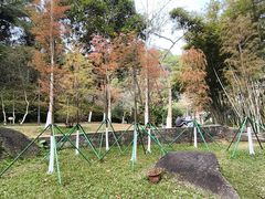 -火炉山森林公园