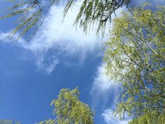 -大兴滨河森林公园