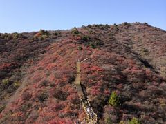 -水峪民俗村