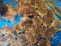 -盒马鲜生(悦峰店)