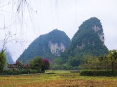 -靖西鹅泉风景区