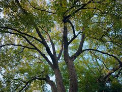 -苏州河梦清园环保主题公园