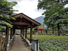-广州市流溪河国家森林公园