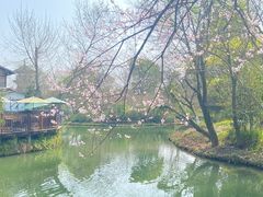 -西溪国家湿地公园