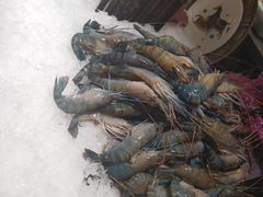 -加餐海鲜自助(宝龙一城店)