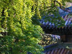 -潭柘寺景区