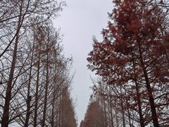 -嘉北郊野公园