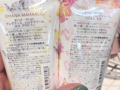 -轻井泽王子购物广场
