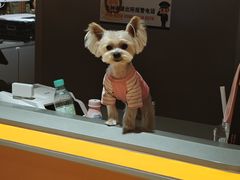 -MARSMART PETS火星宠物超市(1733店)