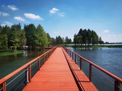 -贡湖湾湿地公园