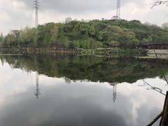 -重庆彩云湖湿地公园