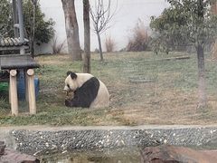 -苏州太湖国家湿地公园