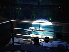 -清迈夜间动物园