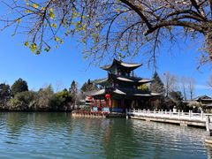 -黑龙潭公园