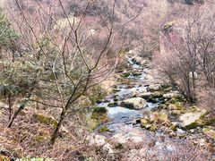 -秦岭终南山世界地质公园翠华山景区