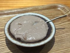 -海丝金凤(金鱼店)