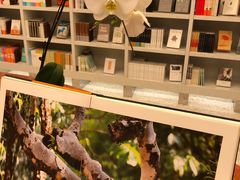 -二酉书店TOYOU BOOKS