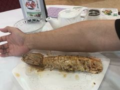 椒盐赖尿虾-渔民新村(番禺总店)