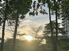 -广州市白云区图书馆