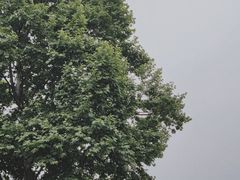 -钟山体育运动公园
