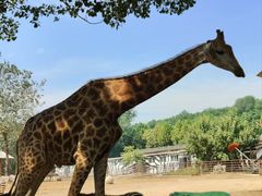 -大连森林动物园