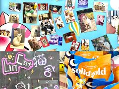 -lincat·猫舍(广州店)