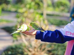 -森波拉奇妙世界