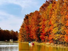 -上海海湾国家森林公园