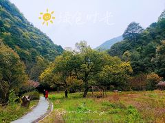 -午潮山国家森林公园