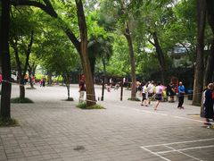 -西苑公园