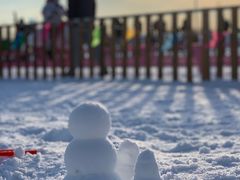 -绿野森林乐园冰雪季