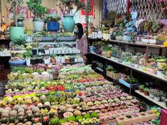 -朝来春花卉市场