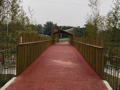 -那考河湿地公园